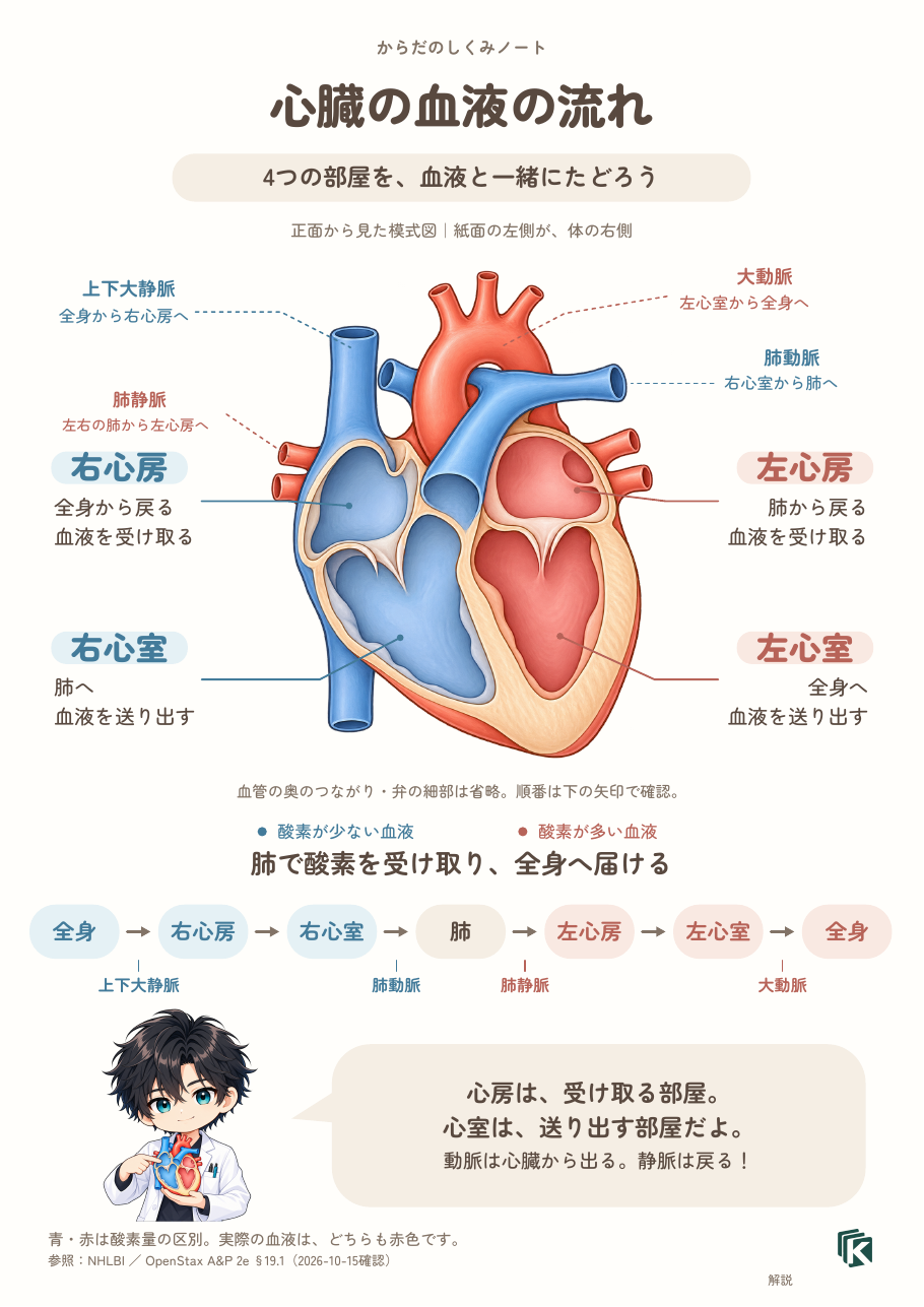 解説ページ｜A4縦の全体見本